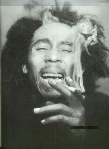 Mr_BOB_Marley